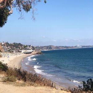 Meet your Posher, Ava